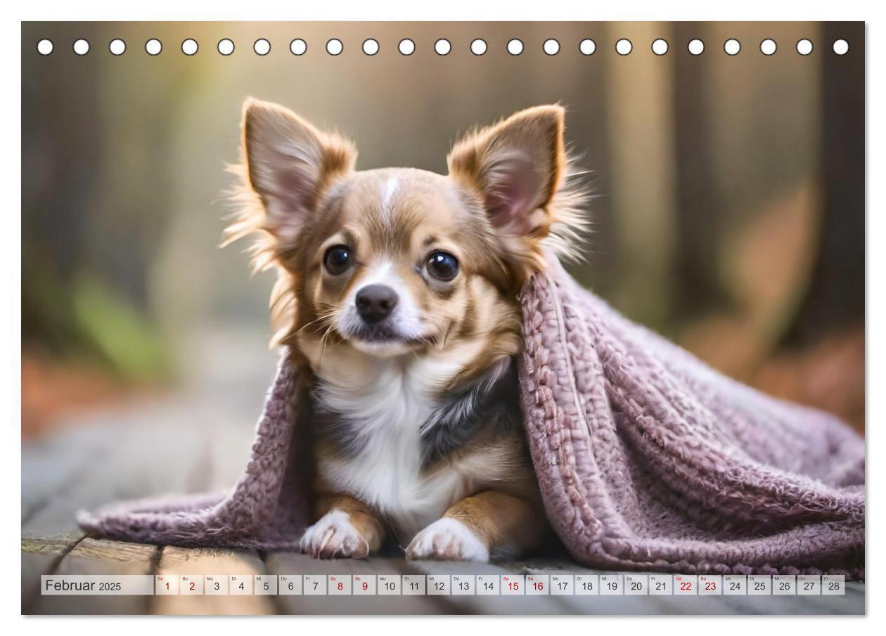 Bild: 9783383811661 | Chihuahuas - Kleine Hunde - große Temperamentbündel (Tischkalender...