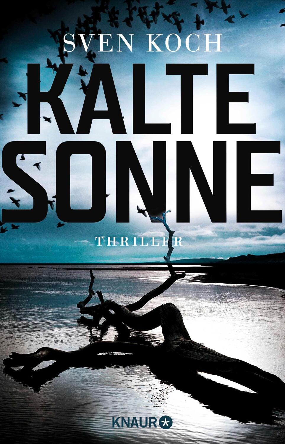 Cover: 9783426521540 | Kalte Sonne | Sven Koch | Taschenbuch | 349 S. | Deutsch | 2018