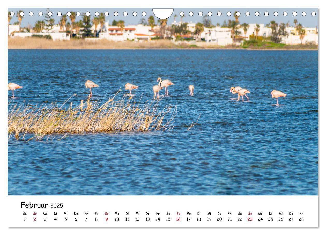 Bild: 9783435079674 | Kos 2025 (Wandkalender 2025 DIN A4 quer), CALVENDO Monatskalender