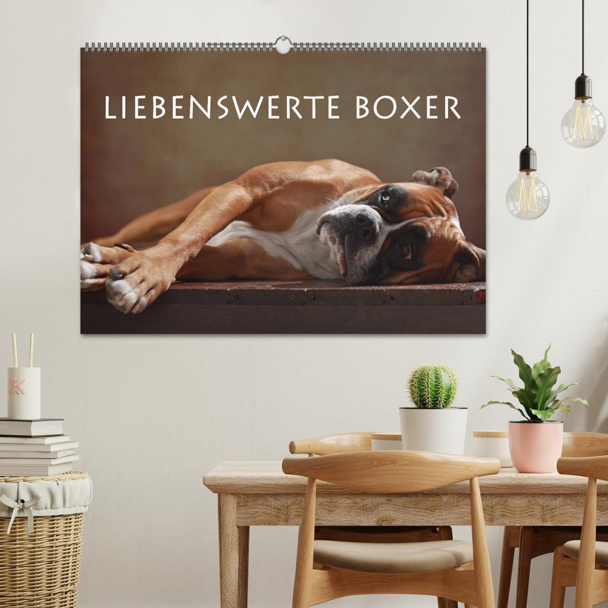 Bild: 9783435435876 | Liebenswerte Boxer (Wandkalender 2025 DIN A2 quer), CALVENDO...