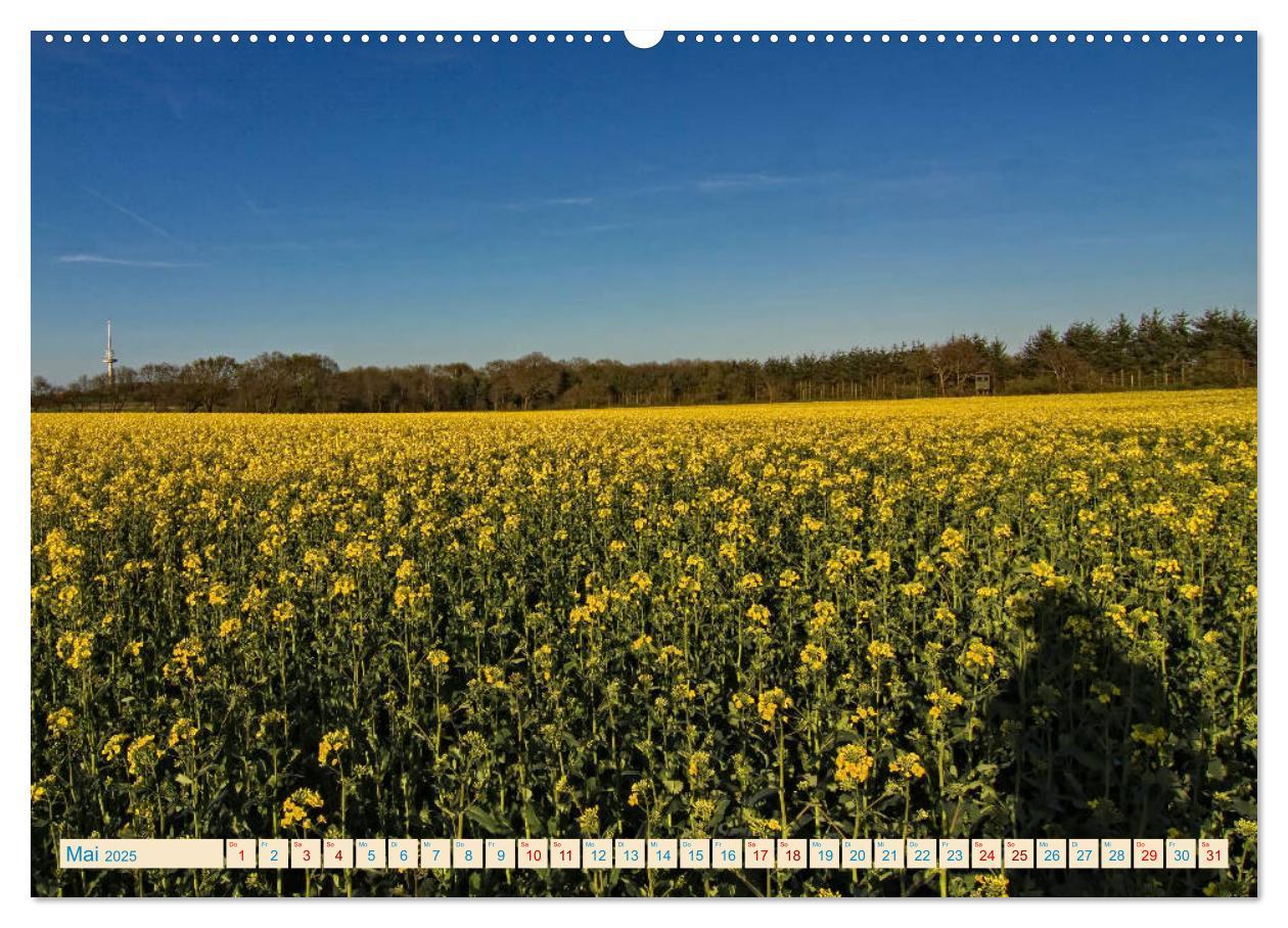 Bild: 9783435428250 | Cuxhaven, Landschaften zwischen Küste und Heide (Wandkalender 2025...