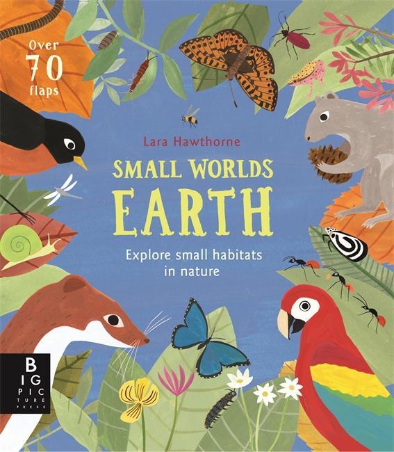 Cover: 9781787415638 | Small Worlds: Earth | Camilla De La Bedoyere | Buch | Papp-Bilderbuch