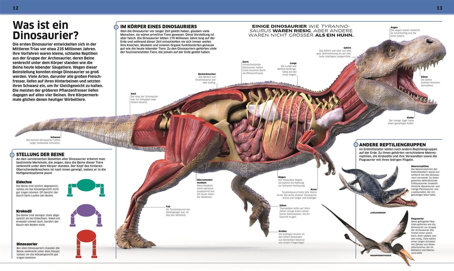 Bild: 9783831040063 | DK Wissen. Dinosaurier | Die Urzeitriesen in spektakulären Bildern