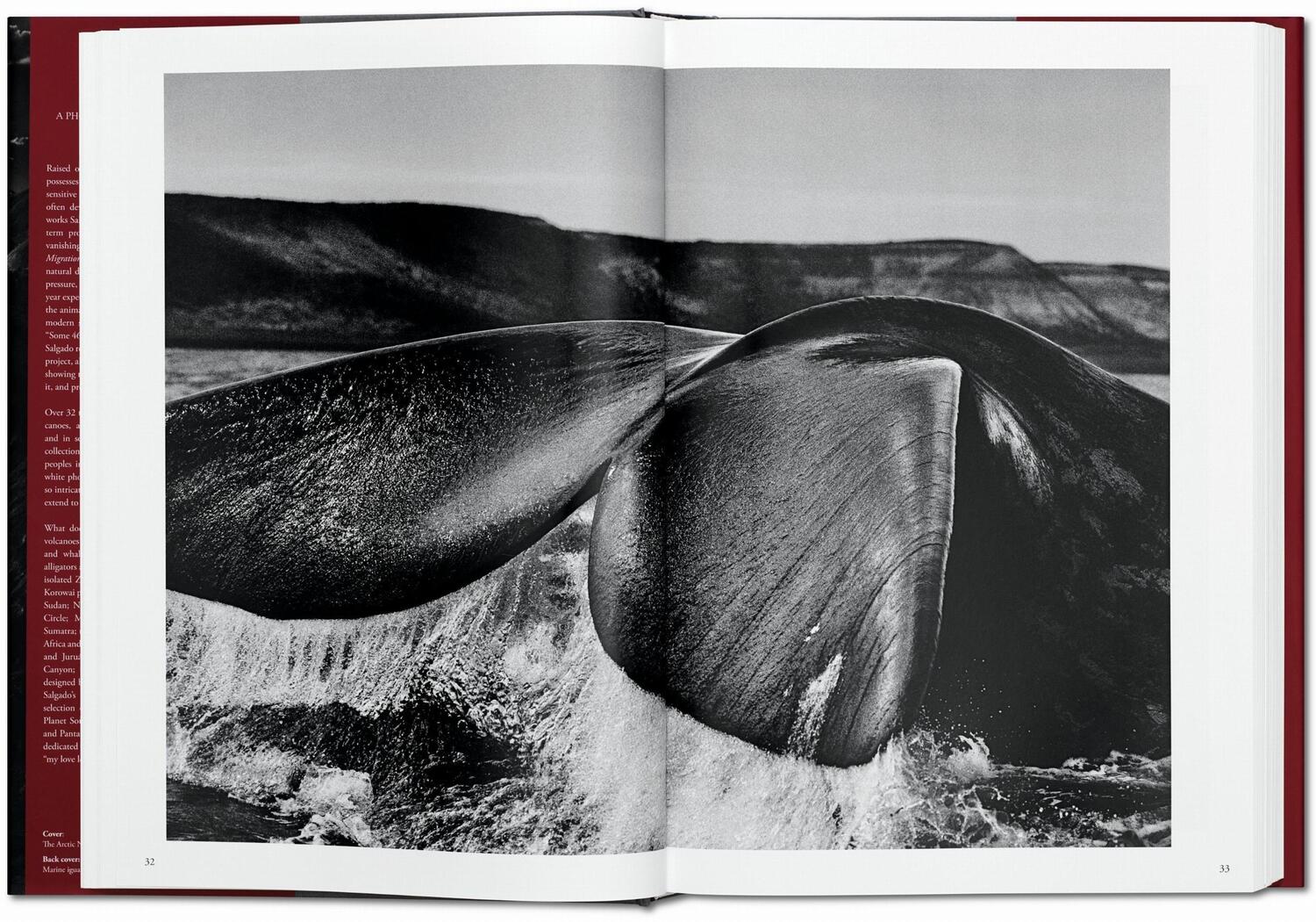 Bild: 9783836542593 | Sebastiao Salgado. Genesis | Trade Edition | Lélia Wanick Salgado