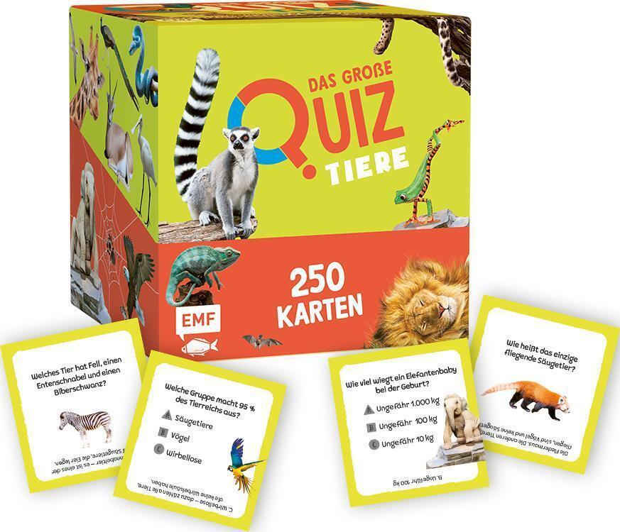 Cover: 4260478342415 | Kartenbox: Das große Quiz - Tiere | Aurore Meyer | Spiel | 250 S.