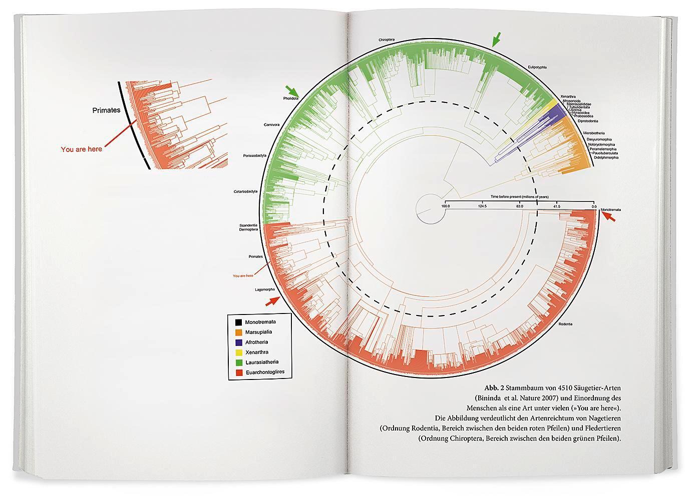 Bild: 9783426278987 | Von Viren, Fledermäusen und Menschen | Isabella Eckerle | Buch | 2023