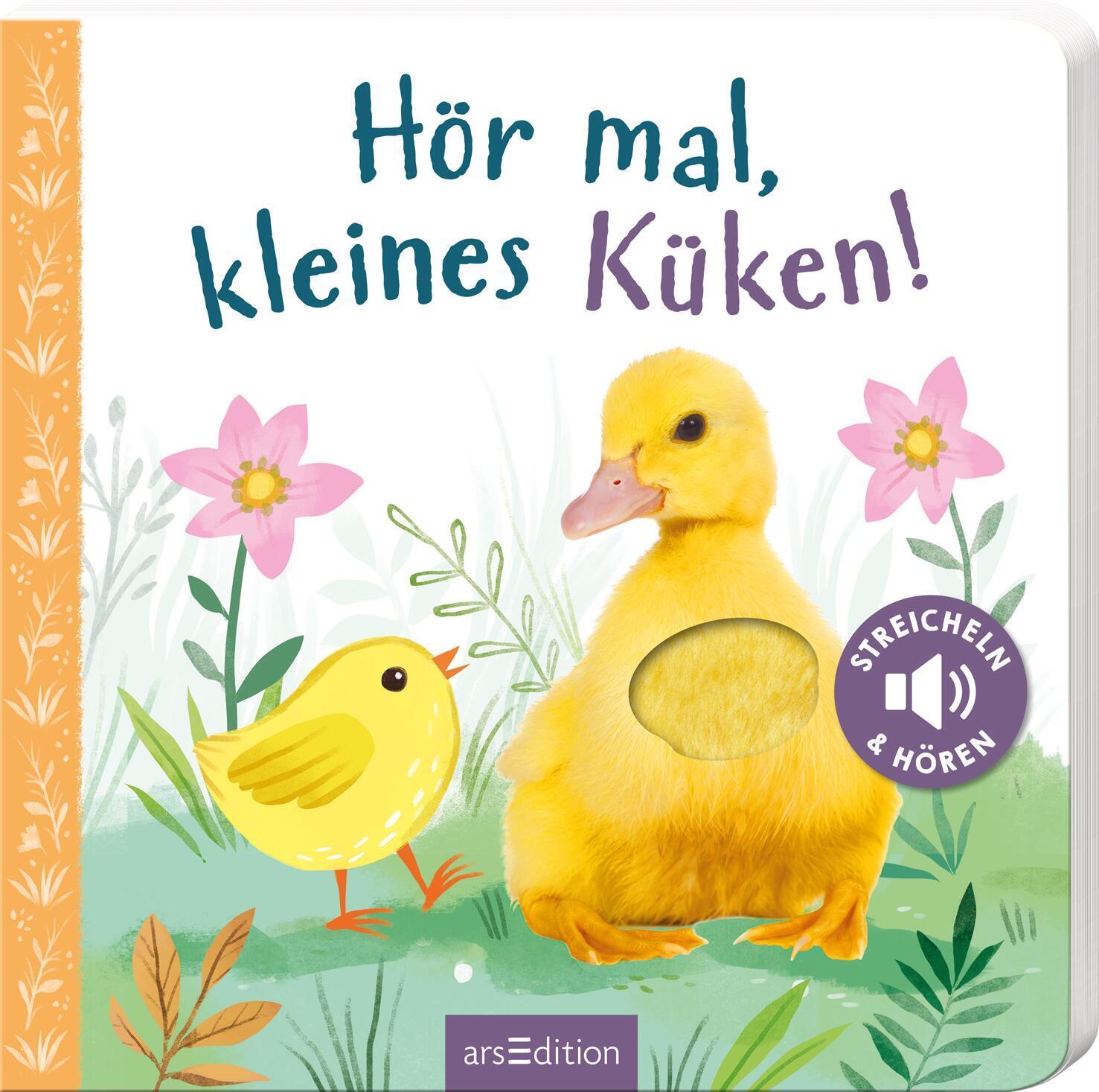 Cover: 9783845846644 | Hör mal, kleines Küken! | Streicheln und hören | Buch | 12 S. | 2022