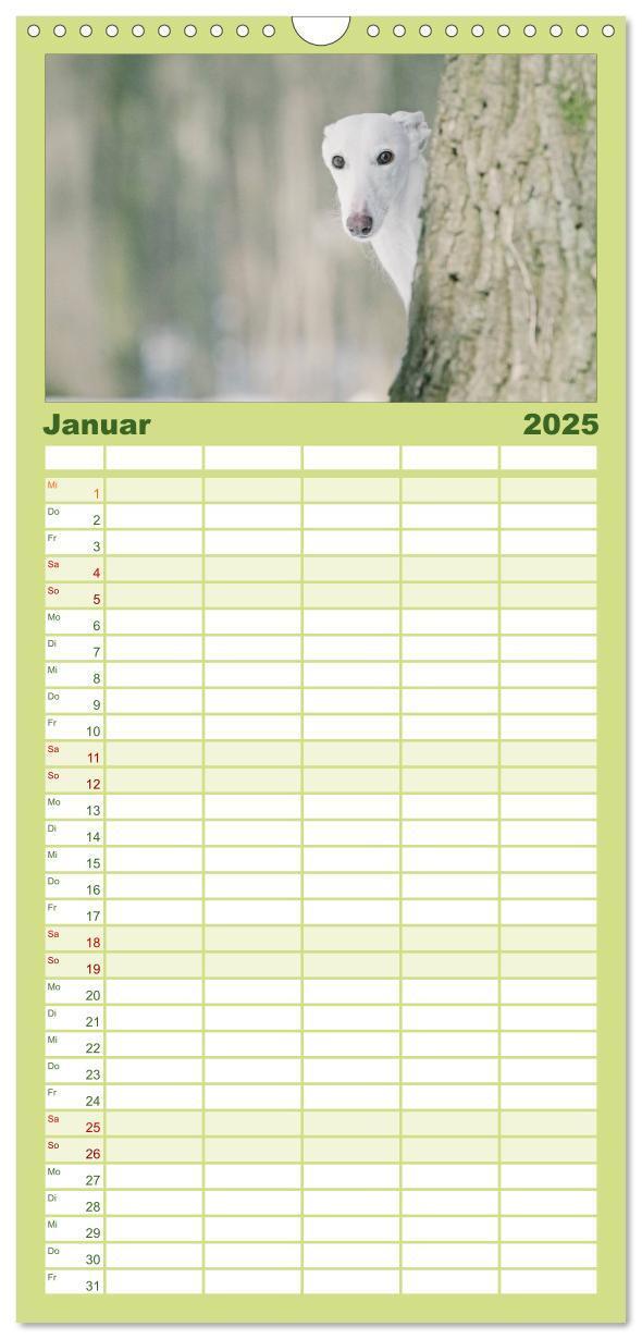 Bild: 9783457112526 | Familienplaner 2025 - Der Windhundekalender mit 5 Spalten...