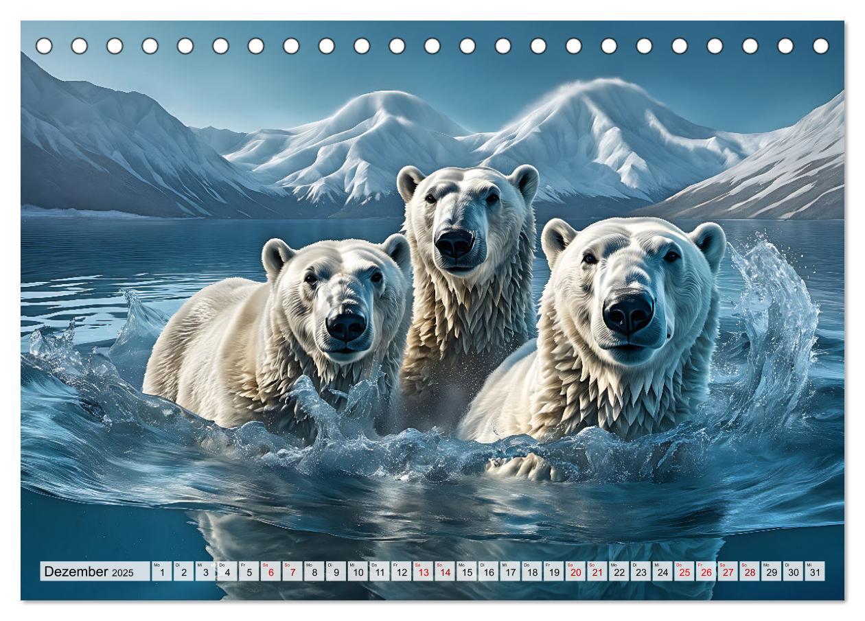 Bild: 9783383859762 | Im magischen Land der Eisbären (Tischkalender 2025 DIN A5 quer),...