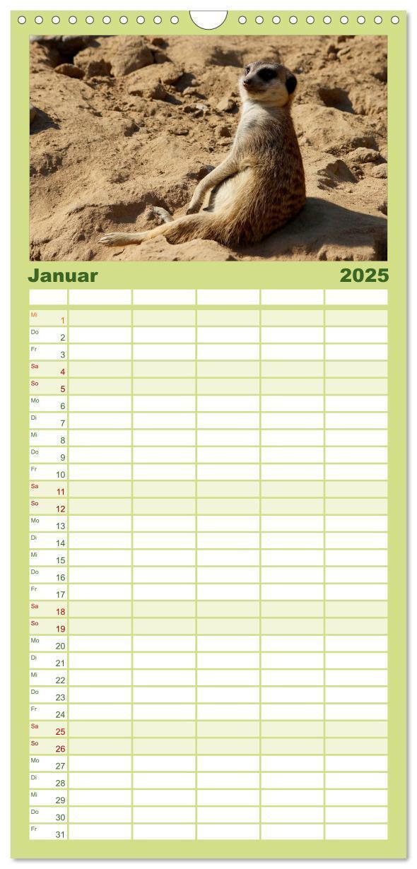 Bild: 9783457121375 | Familienplaner 2025 - Erdmännchen mit 5 Spalten (Wandkalender, 21 x...