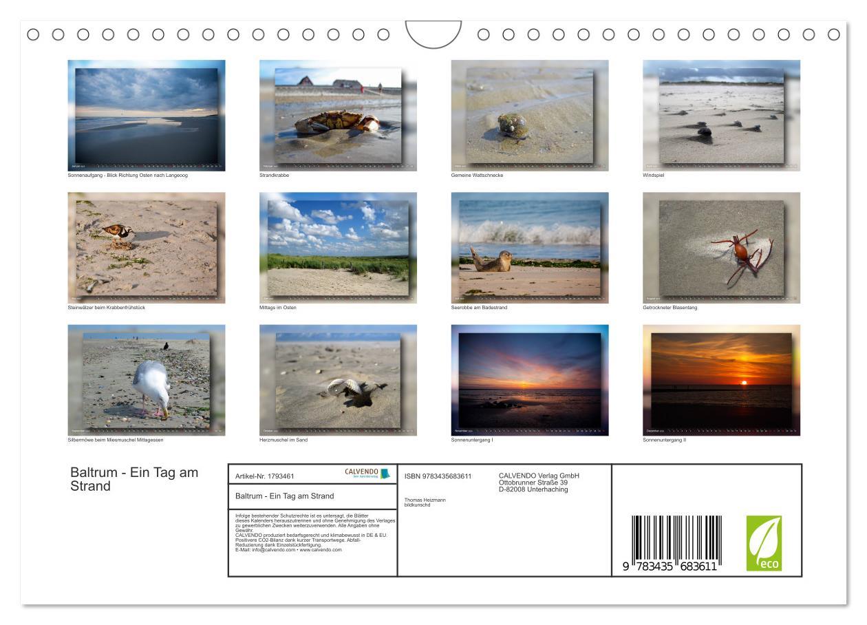 Bild: 9783435683611 | Baltrum - Ein Tag am Strand (Wandkalender 2025 DIN A4 quer),...