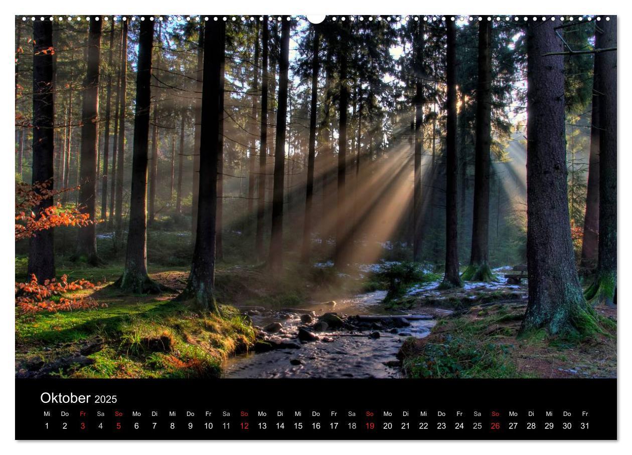 Bild: 9783435815920 | Naturpark Teutoburger Wald - Silberbach (Wandkalender 2025 DIN A2...