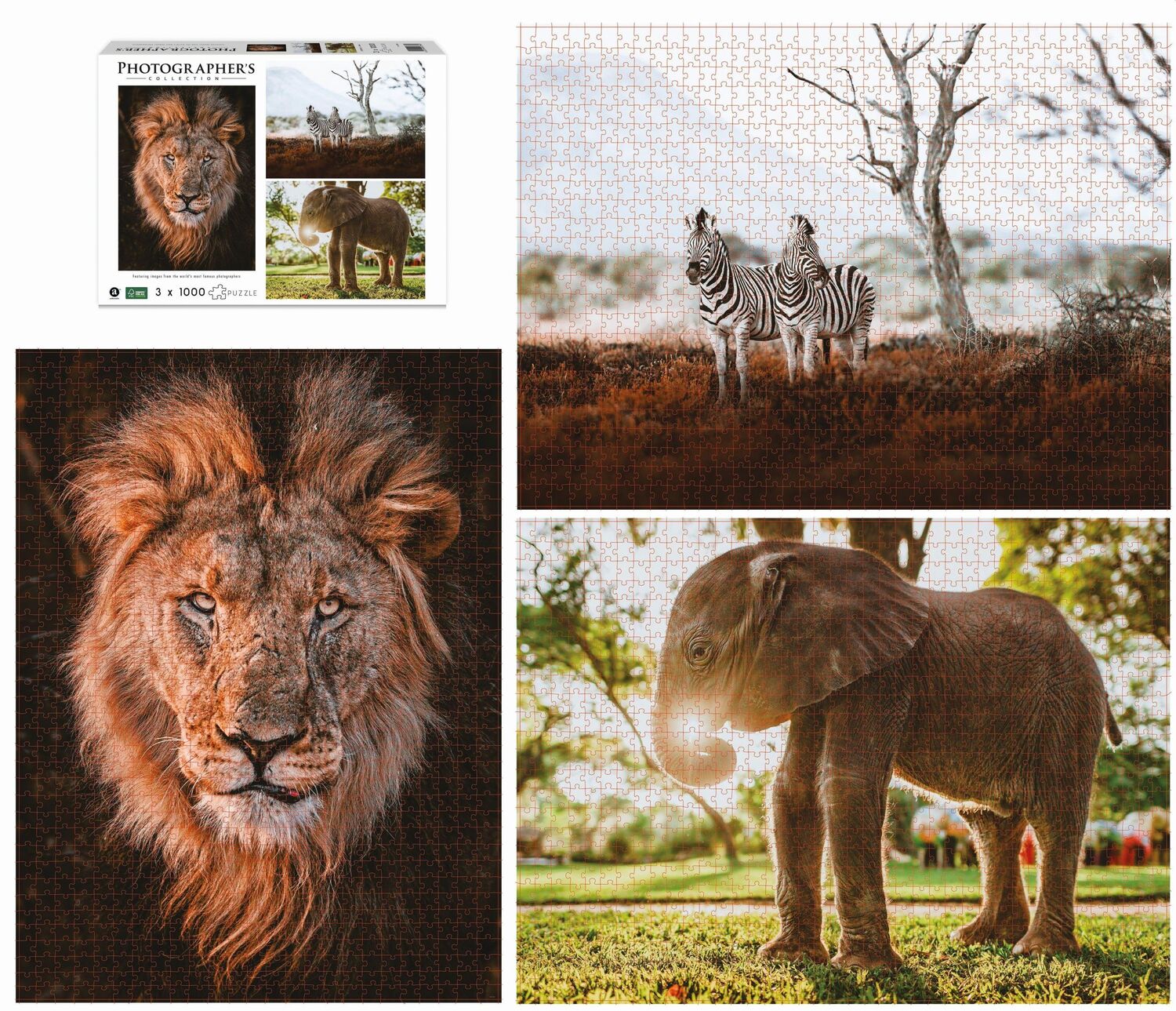 Bild: 4897049307896 | AMBASSADOR - Wildtiere Afrika 3x1000 Teile (Donal Boyd) | Donal Boyd