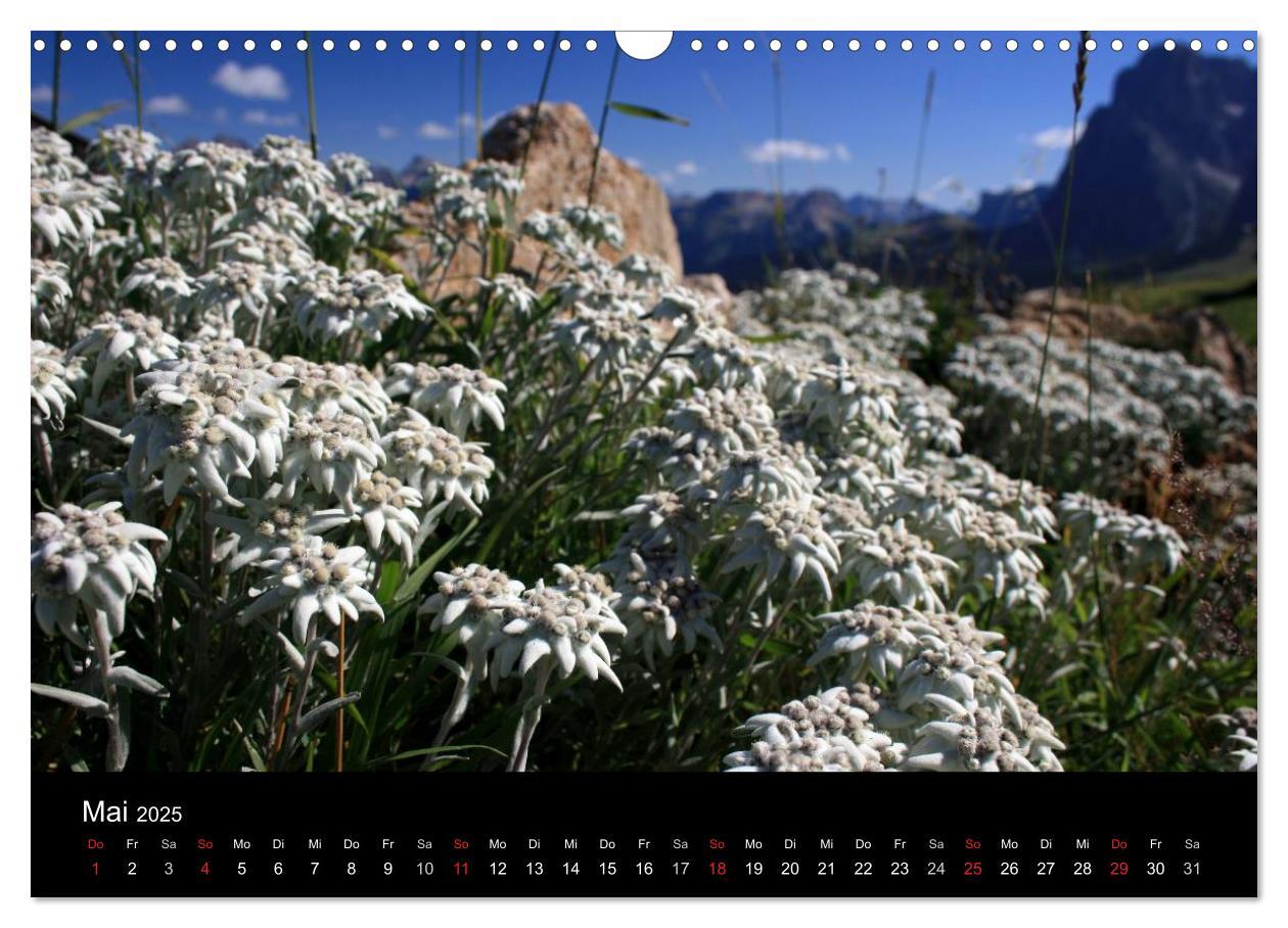 Bild: 9783435473861 | Alpe di Siusi - Seiser Alm (Wandkalender 2025 DIN A3 quer),...