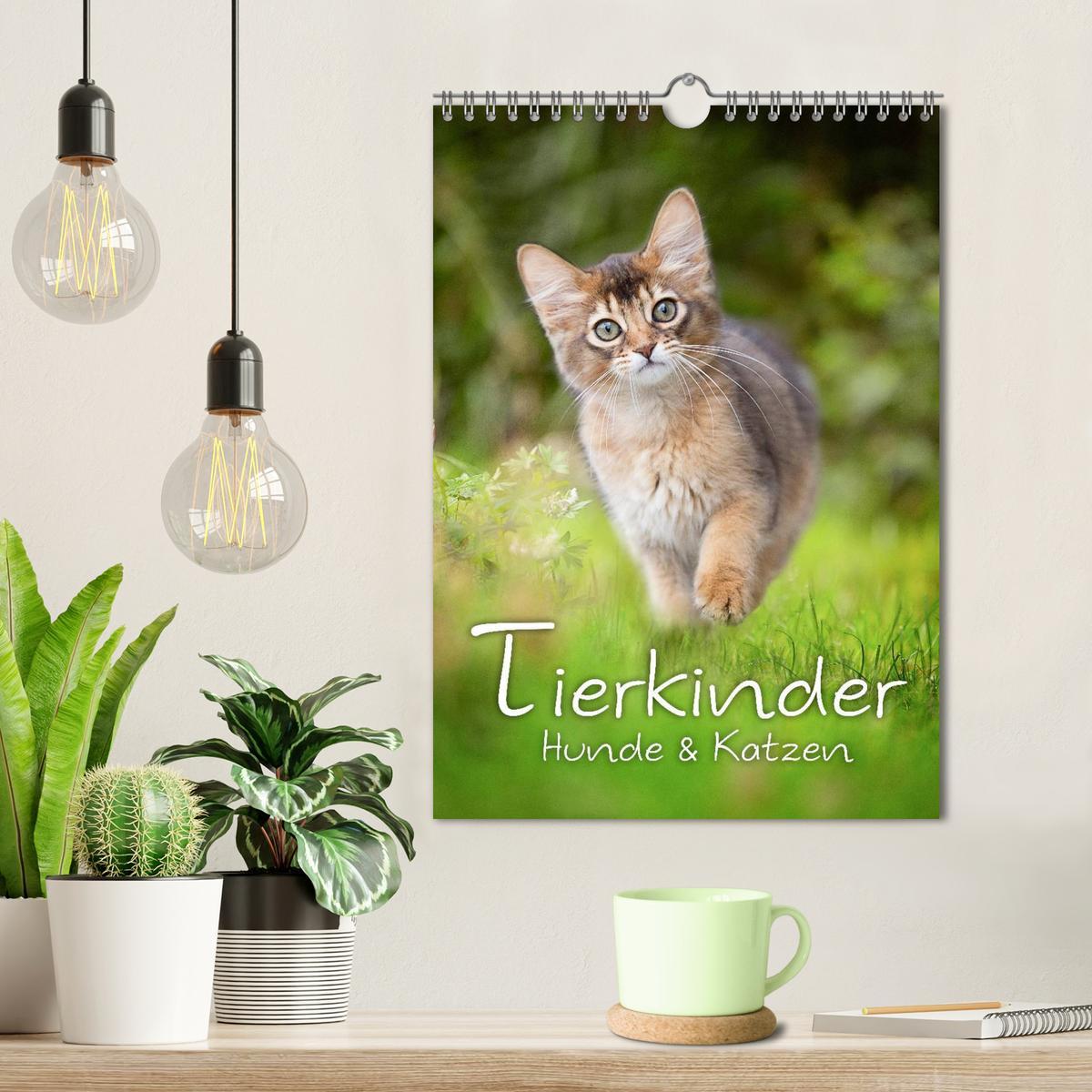 Bild: 9783457064610 | Tierkinder Hunde und Katzen (Wandkalender 2025 DIN A4 hoch),...