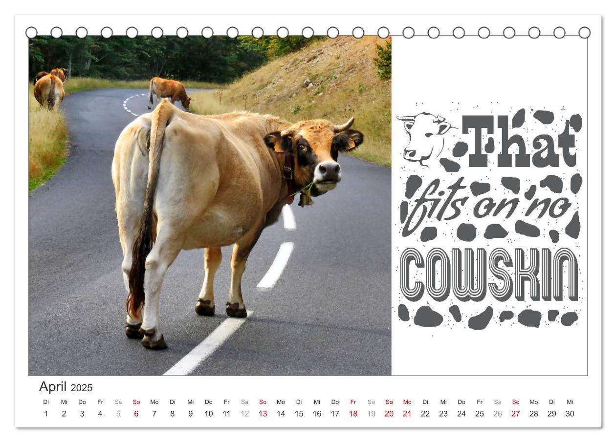 Bild: 9783435131662 | Tierisch Denglisch (Tischkalender 2025 DIN A5 quer), CALVENDO...