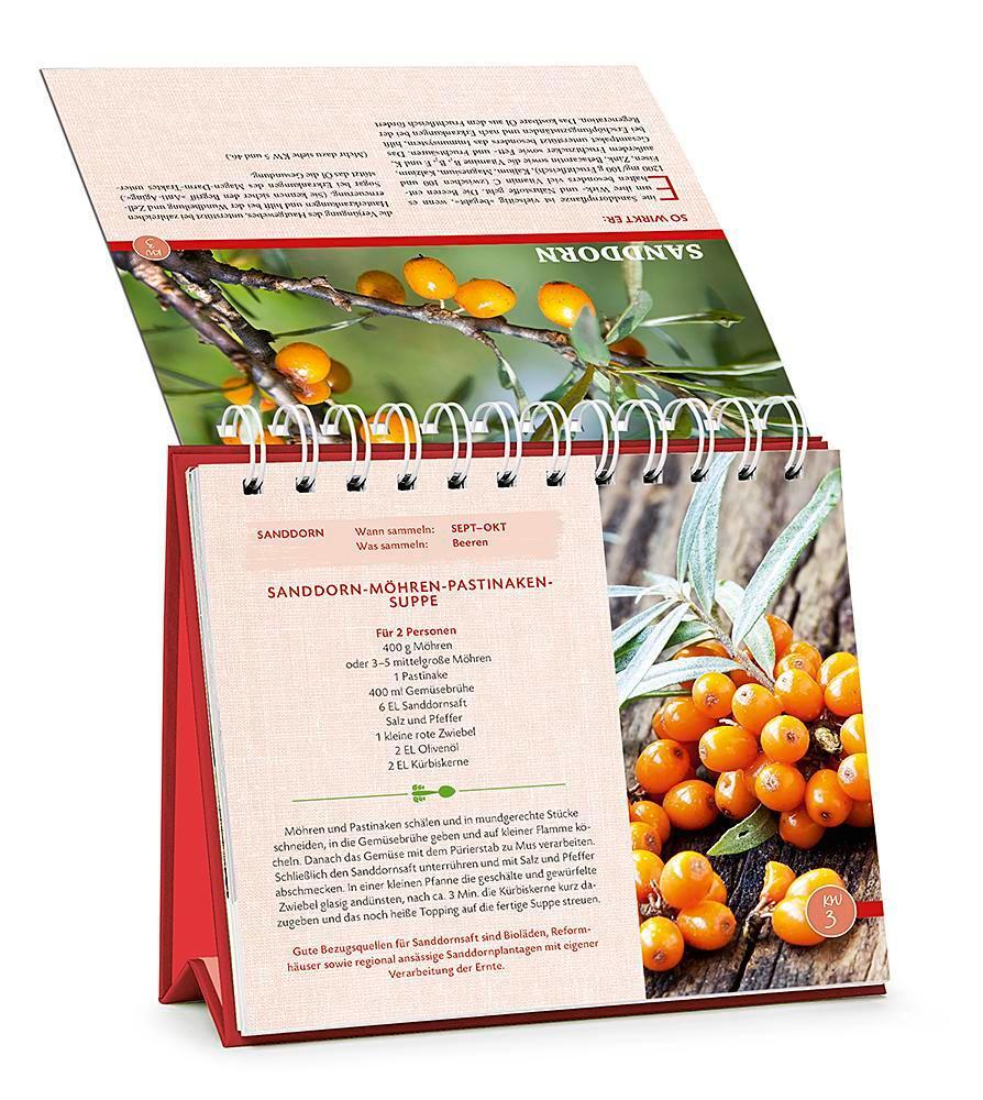 Bild: 9783426658772 | Die Wildpflanzen-Apotheke - Kalender | Markus Strauß | Kalender