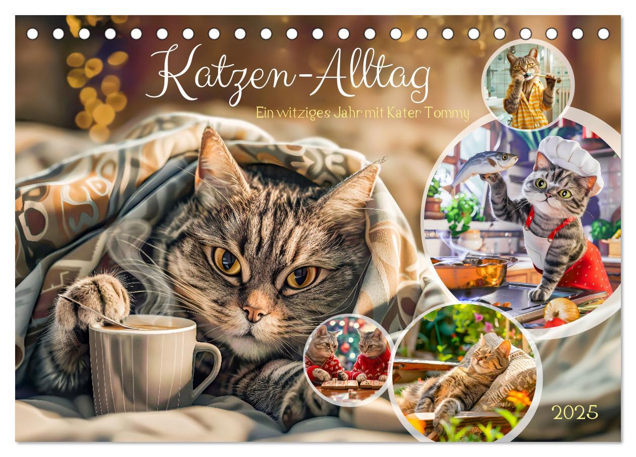 Cover: 9783383788857 | Katzen-Alltag - Ein witziges Jahr mit Kater Tommy (Tischkalender...