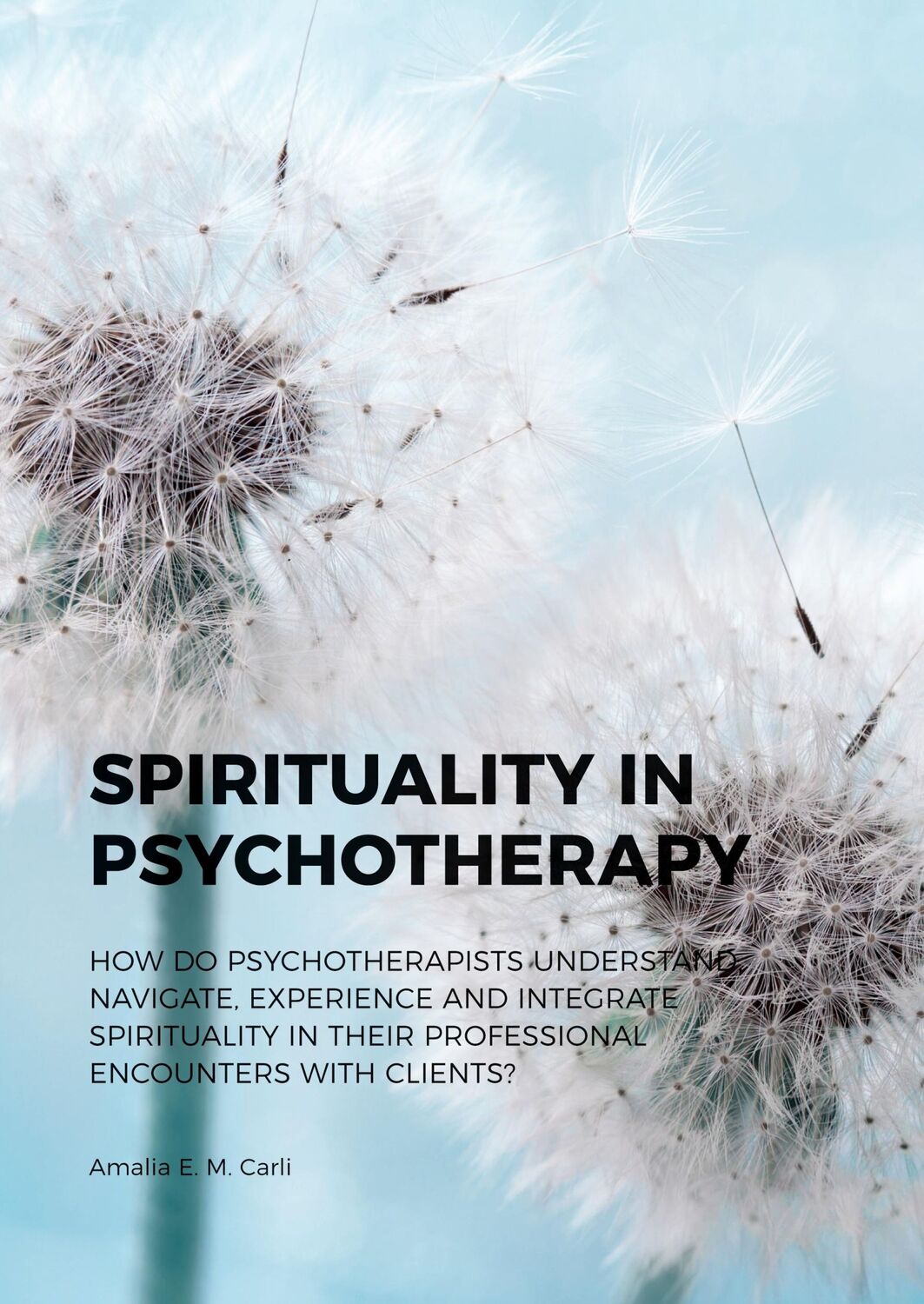 Cover: 9789088909320 | Spirituality in Psychotherapy | Amalia E. M. Carli | Taschenbuch