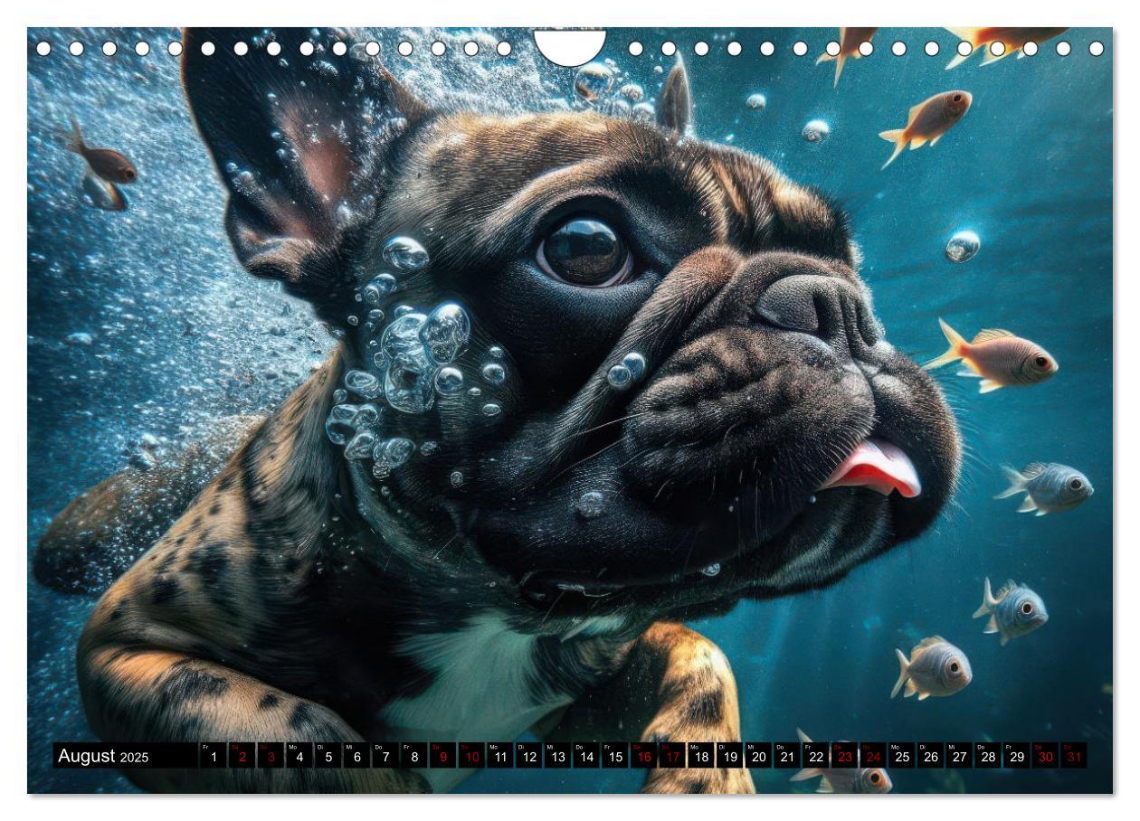 Bild: 9783457150429 | Badespaß - Hunde unter Wasser (Wandkalender 2025 DIN A4 quer),...