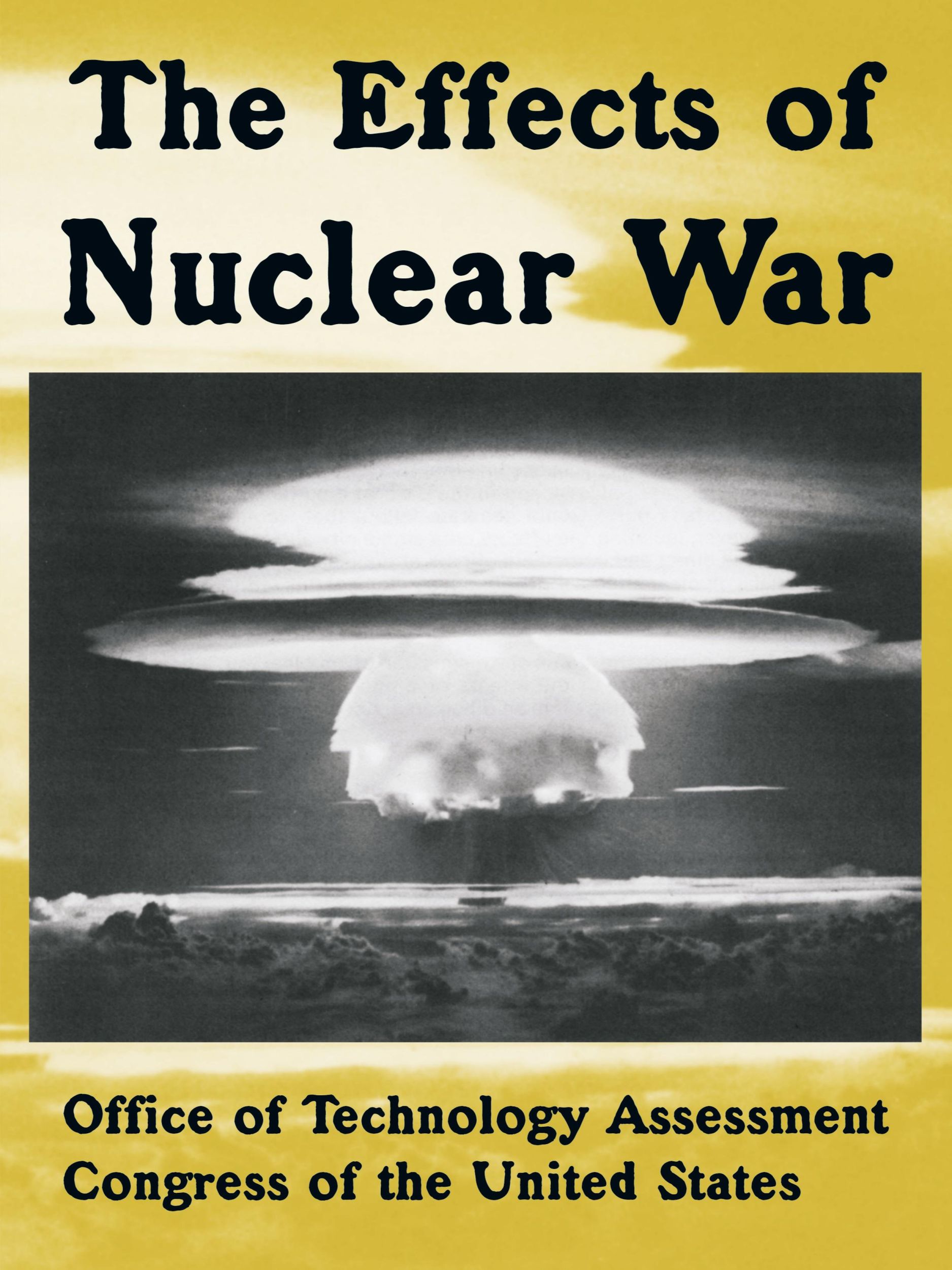 Cover: 9781410222244 | The Effects of Nuclear War | Assessment (u. a.) | Taschenbuch | 2005