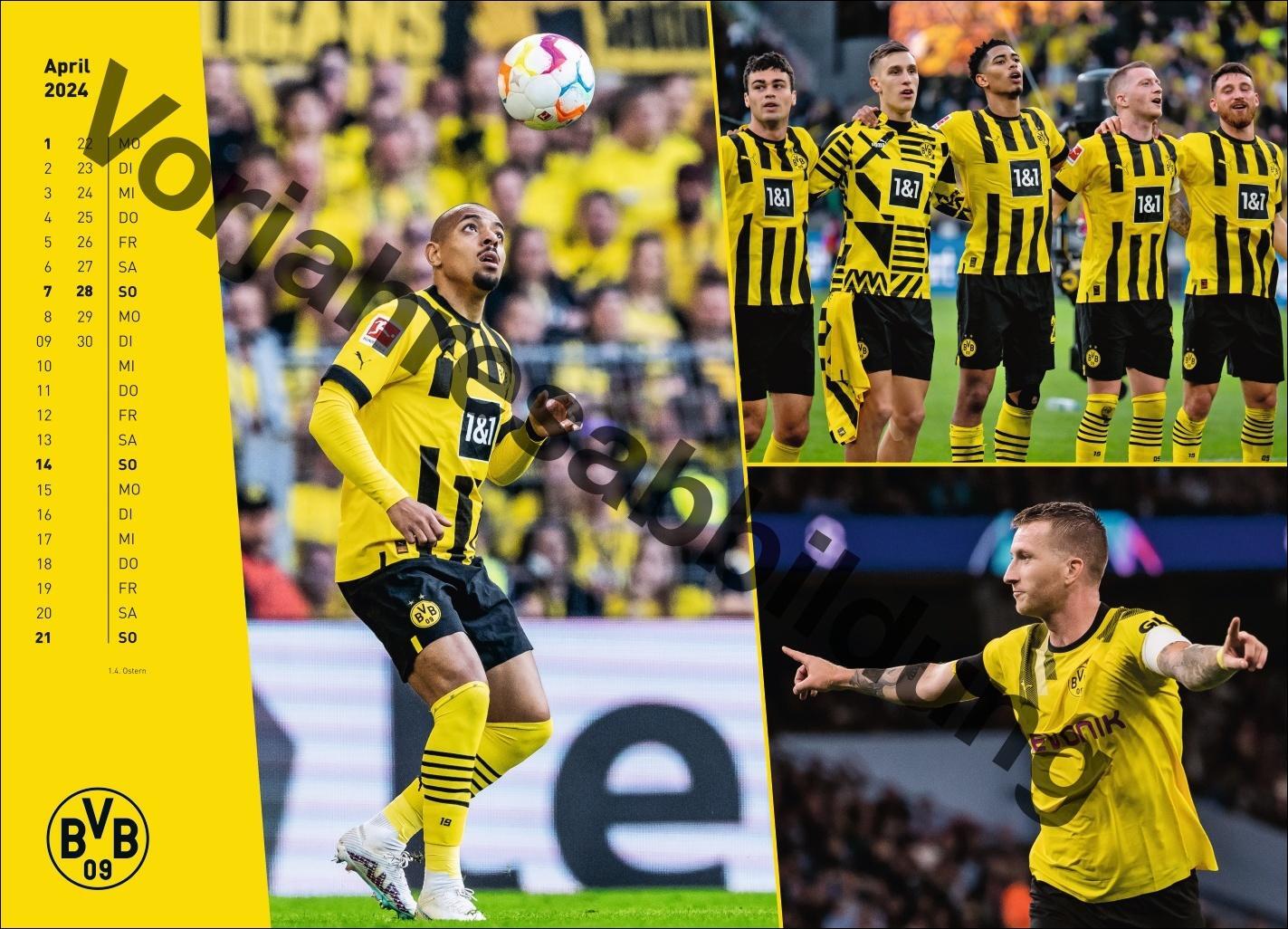 Bild: 9783756404735 | BVB Edition Kalender 2025 | Heye | Kalender | Bundesliga Kalender Heye