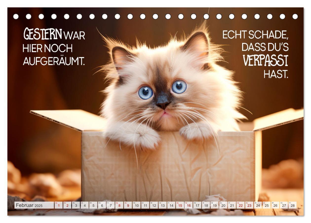 Bild: 9783383772047 | KATZEN-IRONIE Lach mal wieder (Tischkalender 2025 DIN A5 quer),...