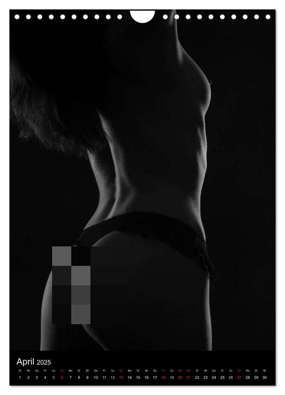 Bild: 9783457081389 | Erotische Silhouetten / CH-Version (Wandkalender 2025 DIN A4 hoch),...