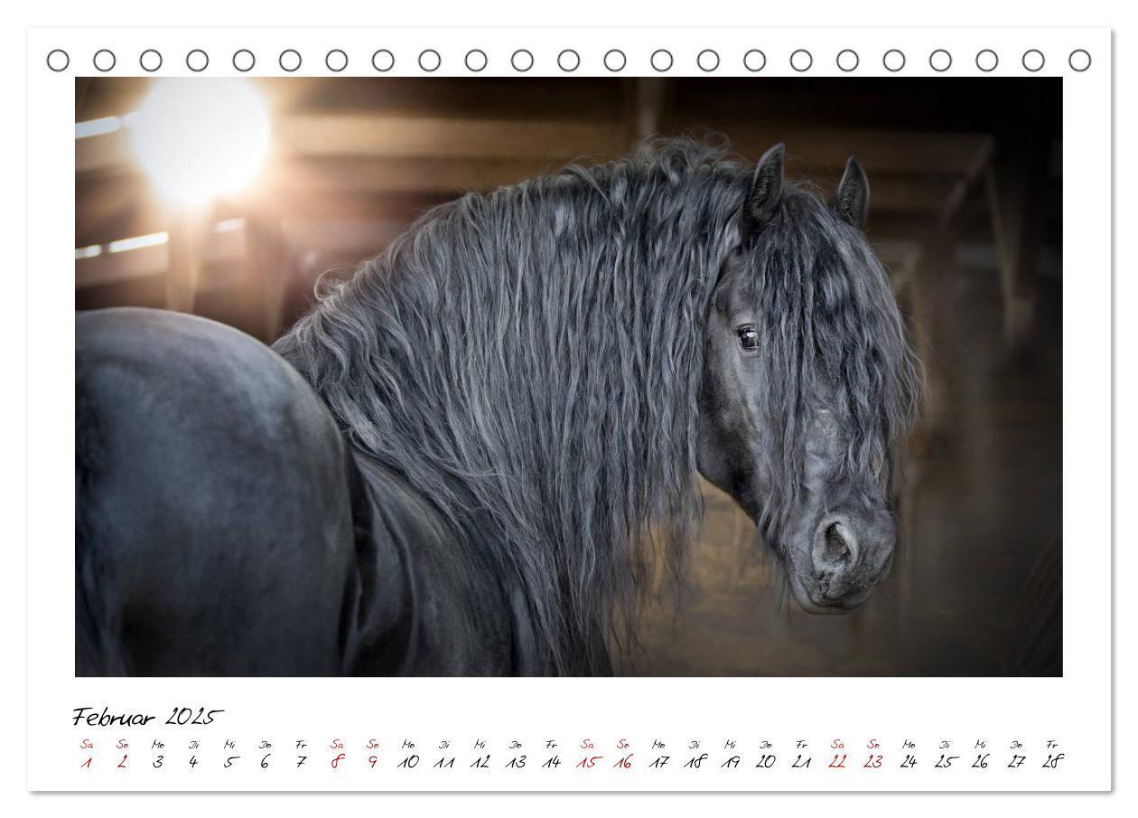 Bild: 9783435234899 | Friesen - stolze Giganten (Tischkalender 2025 DIN A5 quer),...