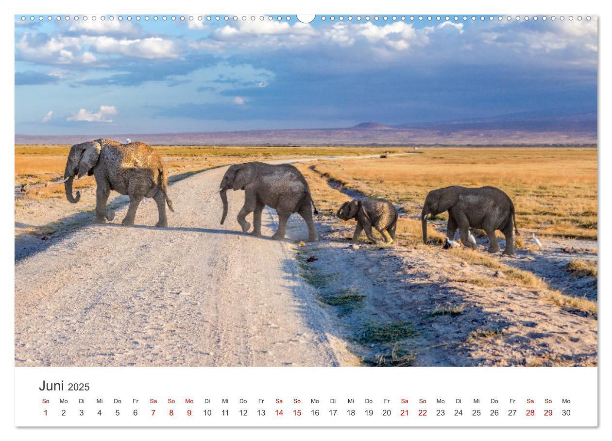 Bild: 9783435002313 | Kenia - Eine Safari durch unberührte Natur. (Wandkalender 2025 DIN...