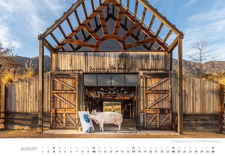 Bild: 9783966648325 | Pigcasso Kalender 2025 | Joanne Lefson | Kalender | Spiralbindung