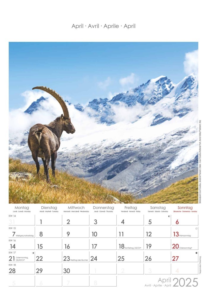 Bild: 4251732341091 | Alpha Edition - Alpen 2025 Bildkalender, 23,7x34cm, Wandkalender...