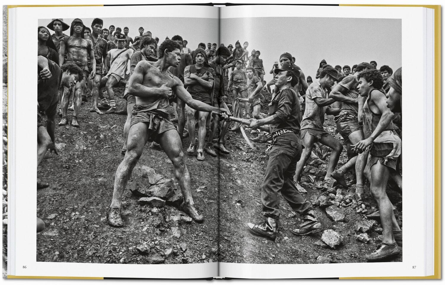 Bild: 9783836575089 | Sebastião Salgado. Gold | Alan Riding | Buch | GER, Hardcover | 208 S.