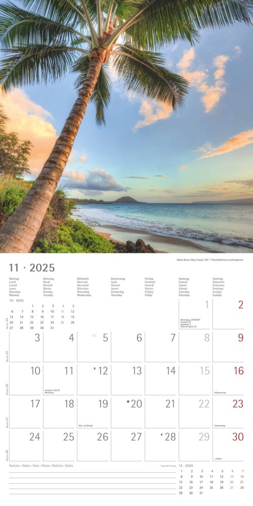 Bild: 4251732340896 | Alpha Edition - Am Meer 2025 Broschürenkalender, 30x30cm,...