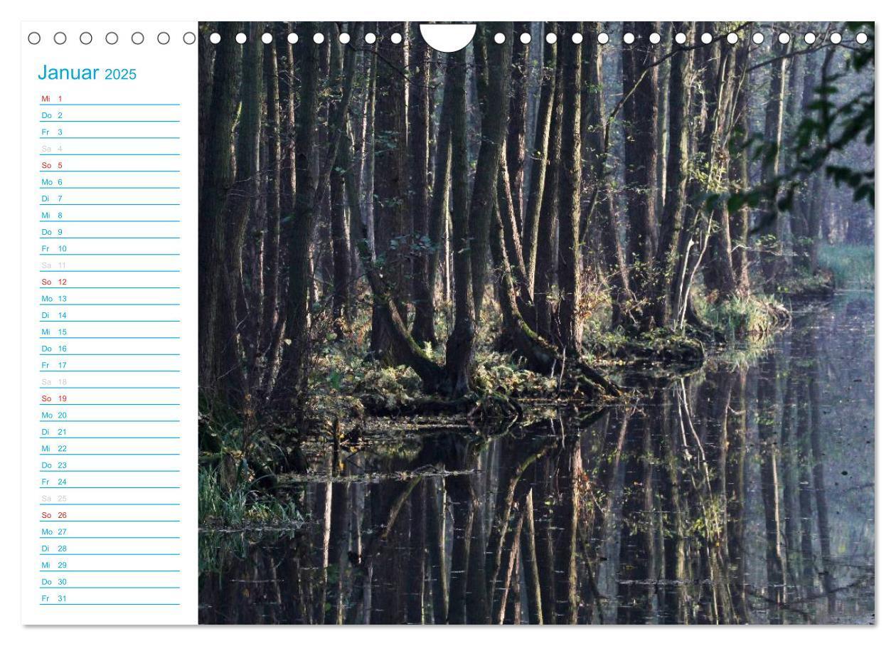 Bild: 9783435515271 | Wunderschöner Spreewald (Wandkalender 2025 DIN A4 quer), CALVENDO...