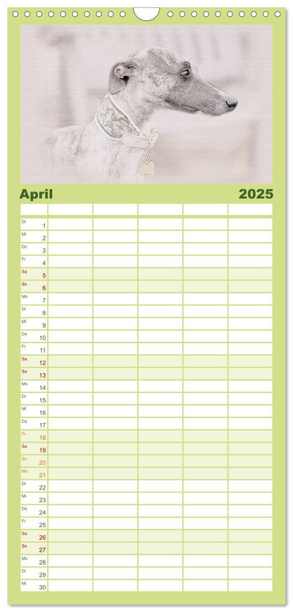 Bild: 9783457121146 | Familienplaner 2025 - Whippet 2025 mit 5 Spalten (Wandkalender, 21...