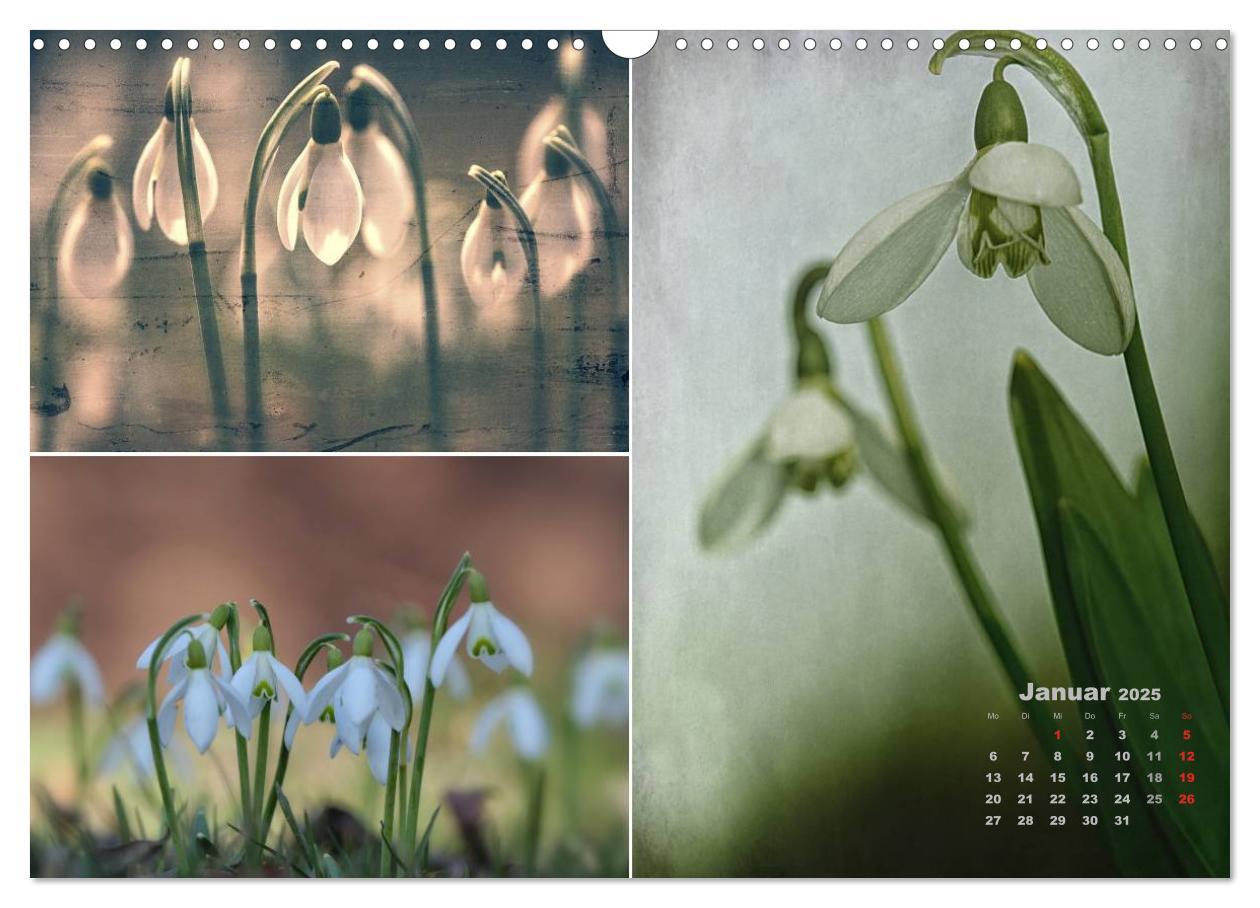 Bild: 9783435612109 | Blumenreise 2025 (Wandkalender 2025 DIN A3 quer), CALVENDO...