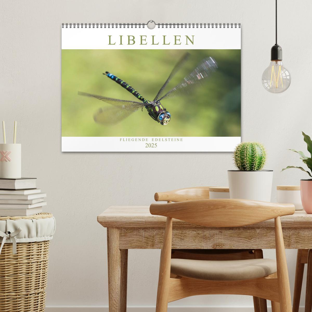 Bild: 9783435717552 | Libellen - Fliegende Edelsteine (Wandkalender 2025 DIN A3 quer),...