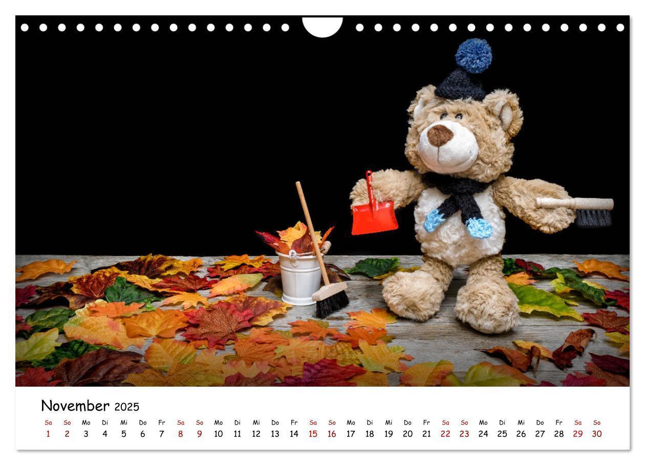 Bild: 9783435254767 | Eddy, der Teddy (Wandkalender 2025 DIN A4 quer), CALVENDO...