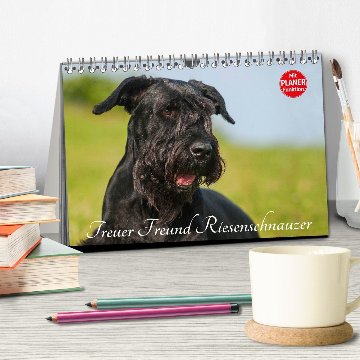 Bild: 9783435544110 | Treuer Freund Riesenschnauzer (Tischkalender 2025 DIN A5 quer),...