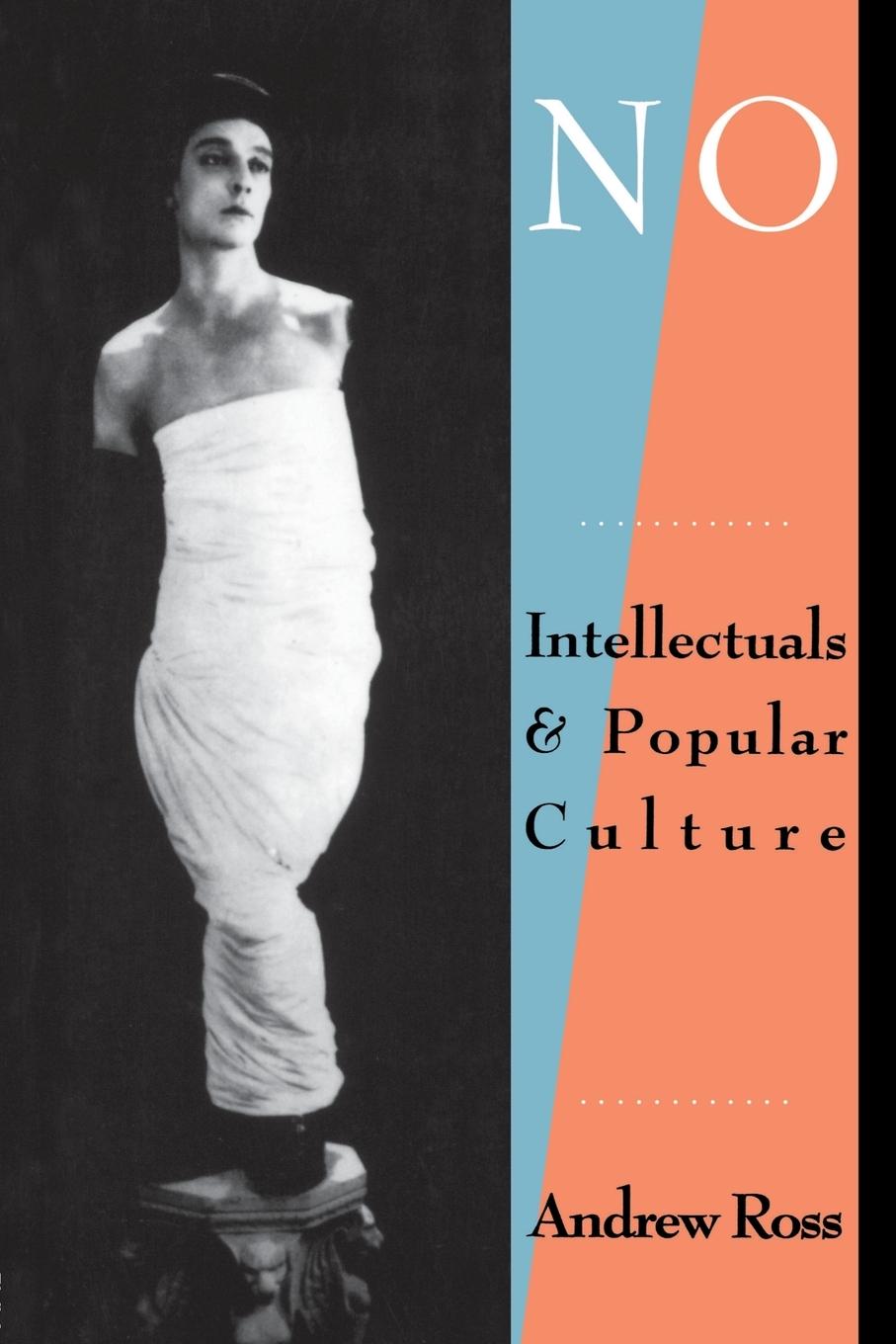 Cover: 9780415900379 | No Respect | Intellectuals and Popular Culture | Andrew Ross | Buch