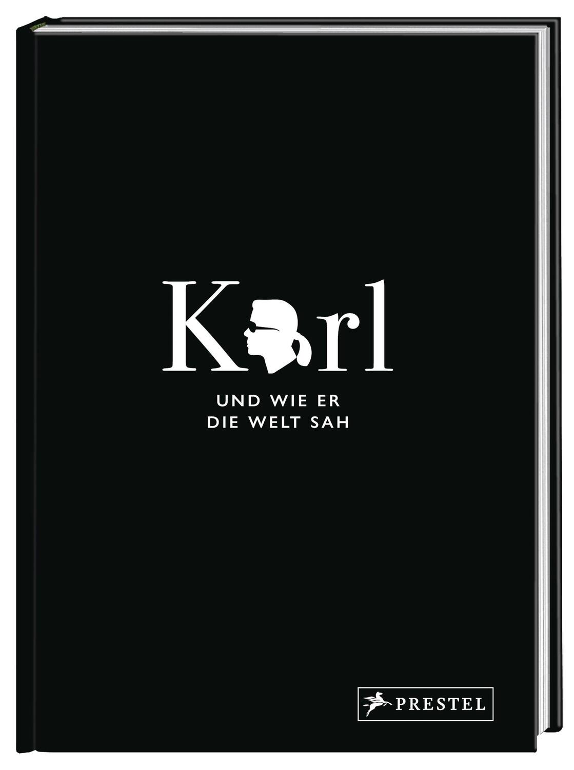 Bild: 9783791386768 | Karl und wie er die Welt sah | Jean-Christophe Napias (u. a.) | Buch