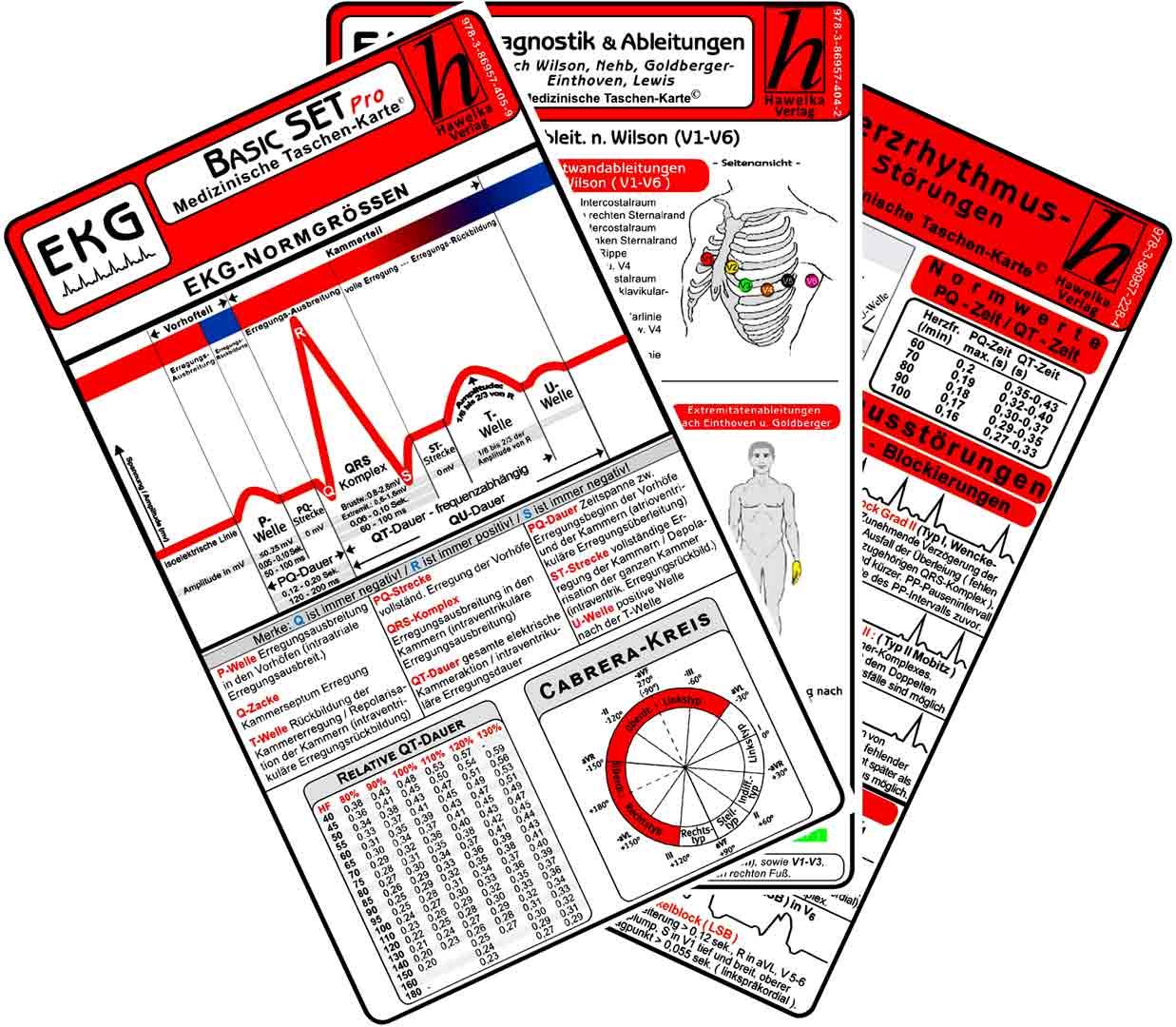 Cover: 9783869574059 | EKG Basic Set - PRO (3er Set) 2025 - Medizinische Taschen-Karte | Buch