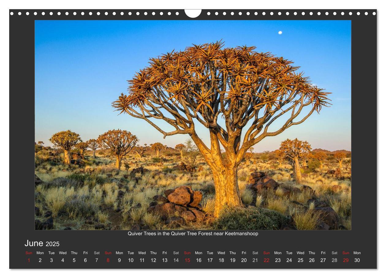 Bild: 9781325964277 | Namibia's Nature (Wall Calendar 2025 DIN A3 landscape), CALVENDO 12...