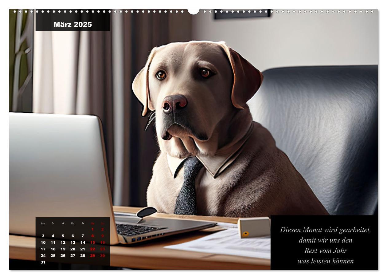 Bild: 9783435367535 | Der witzige Labrador-Kalender (Wandkalender 2025 DIN A2 quer),...