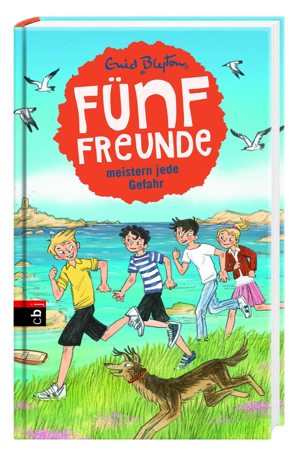 Bild: 9783570172179 | Fünf Freunde meistern jede Gefahr | Enid Blyton | Buch | Fünf Freunde