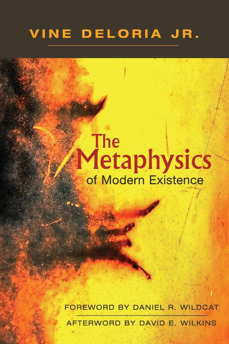 Cover: 9781555917593 | The Metaphysics of Modern Existence | David E Wilkins | Taschenbuch