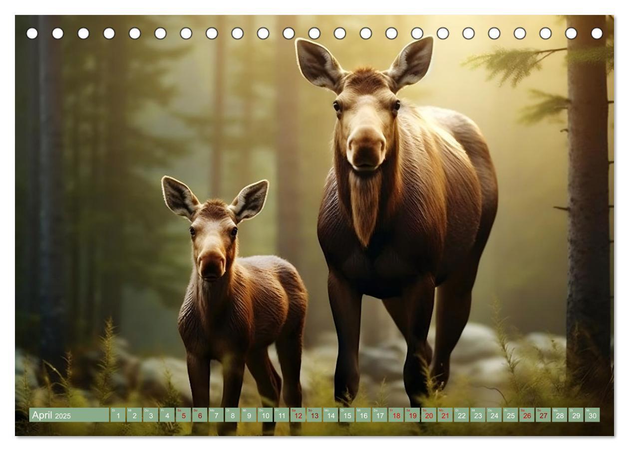 Bild: 9783383789274 | Tierkinder des Nordens (Tischkalender 2025 DIN A5 quer), CALVENDO...