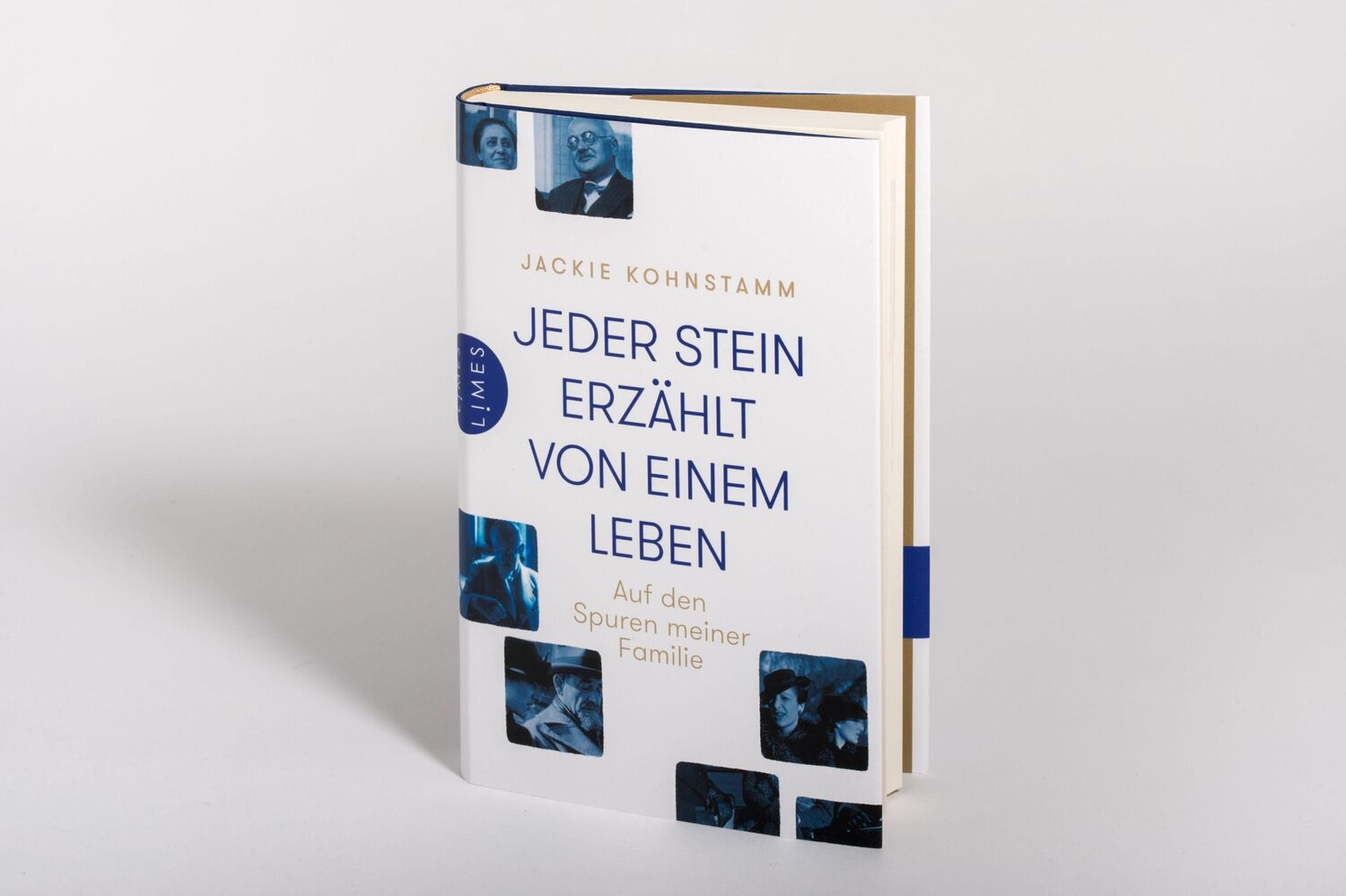 Bild: 9783809027690 | Jeder Stein erzählt von einem Leben | Auf den Spuren meiner Familie