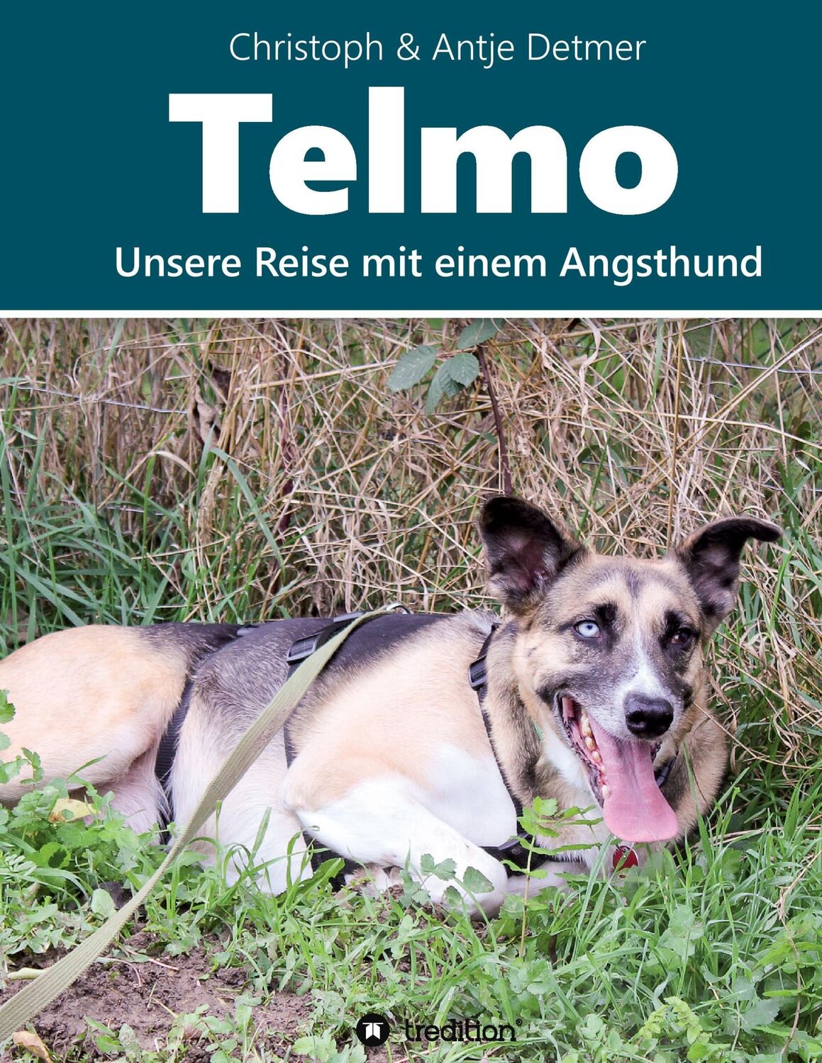 Cover: 9783743913974 | Telmo | Unsere Reise mit einem Angsthund | Christoph &amp; Antje Detmer